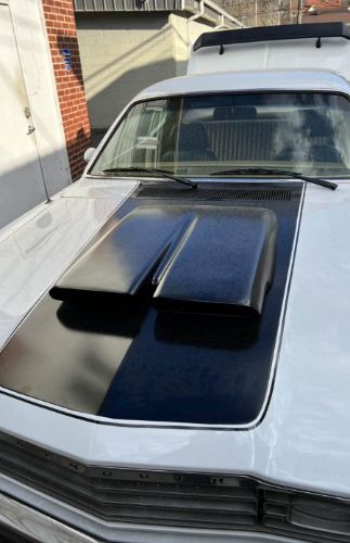 Unknown-Duster-1973-White-8