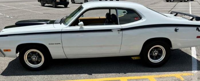 Unknown-Duster-1973-White