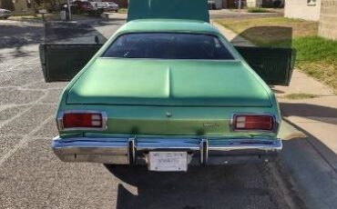 Unknown-Duster-1975-Green-1