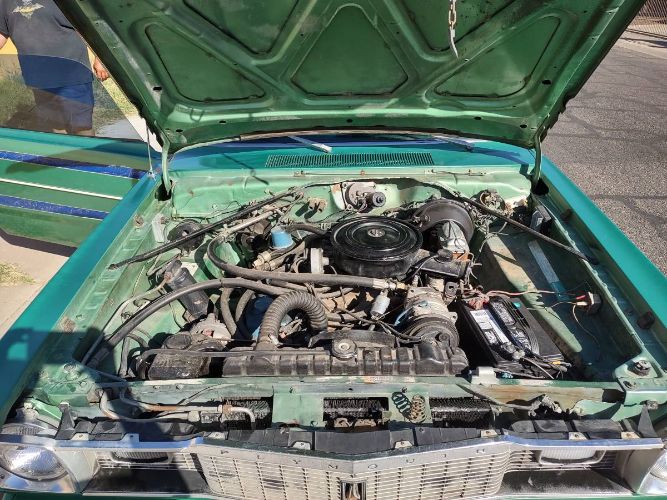 Unknown-Duster-1975-Green-10