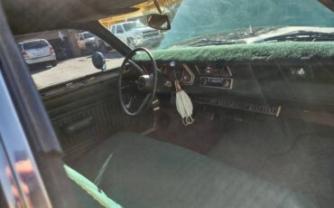 Unknown-Duster-1975-Green-4