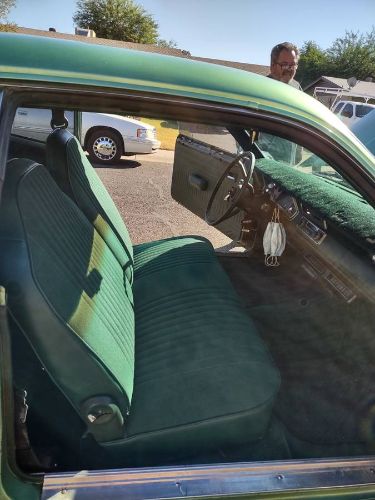 Unknown-Duster-1975-Green-6
