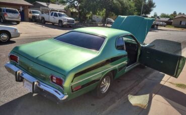 Unknown-Duster-1975-Green-8