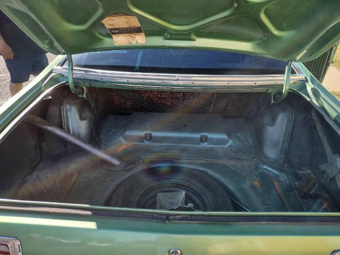 Unknown-Duster-1975-Green