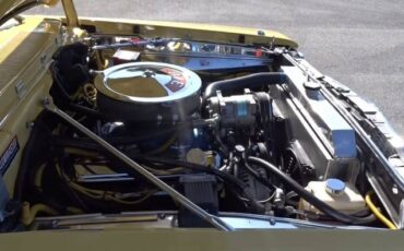 Unknown-Duster-1975-Yellow-6