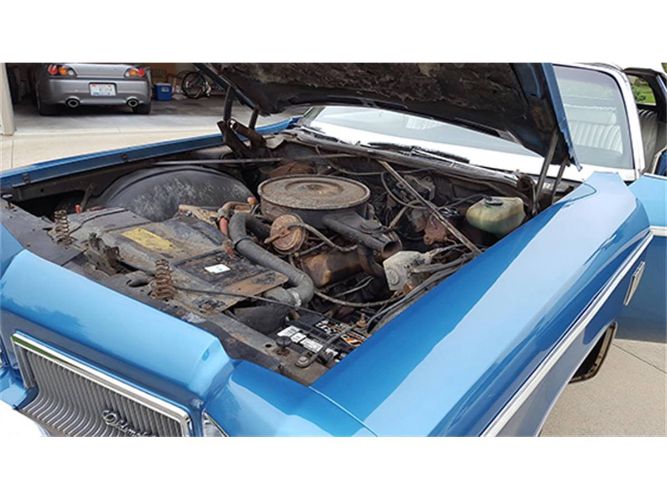 Unknown-Dynamic-88-1973-Bright-Blue-White-1