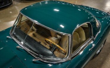 Unknown-E-type-1964-Green-Tan-23