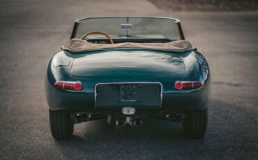 Unknown-E-type-1964-Green-Tan-30