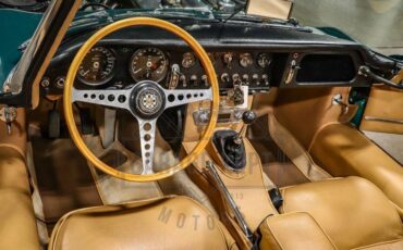 Unknown-E-type-1964-Green-Tan-35