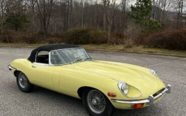 Unknown-E-type-1970-Yellow-16