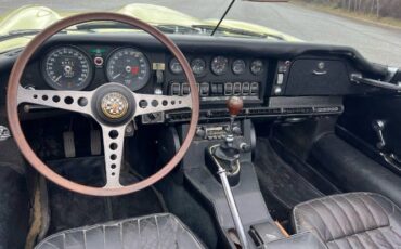 Unknown-E-type-1970-Yellow-7