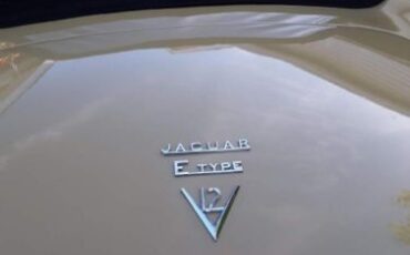 Unknown-E-type-1974-22