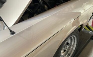 Unknown-El-camino-1969-Silver-5