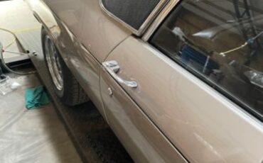 Unknown-El-camino-1969-Silver-8