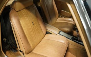 Unknown-El-camino-1970-Medium-Gold-Metallic-Saddle-42