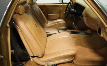 Unknown-El-camino-1970-Medium-Gold-Metallic-Saddle-43