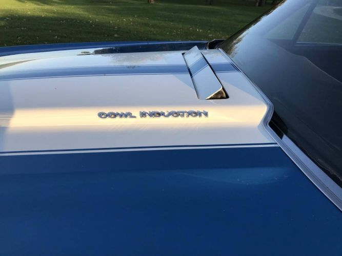 Unknown-El-camino-1971-Blue-Black-24