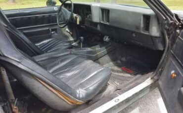 Unknown-El-camino-1975-Black-Black-10