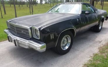 Unknown-El-camino-1975-Black-Black-4