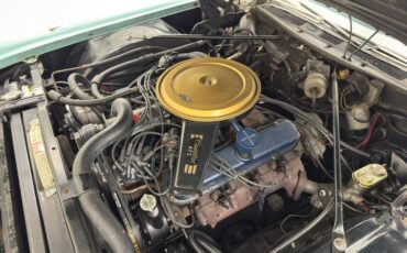Unknown-Eldorado-1968-Silverpine-Green-Dark-Green-30
