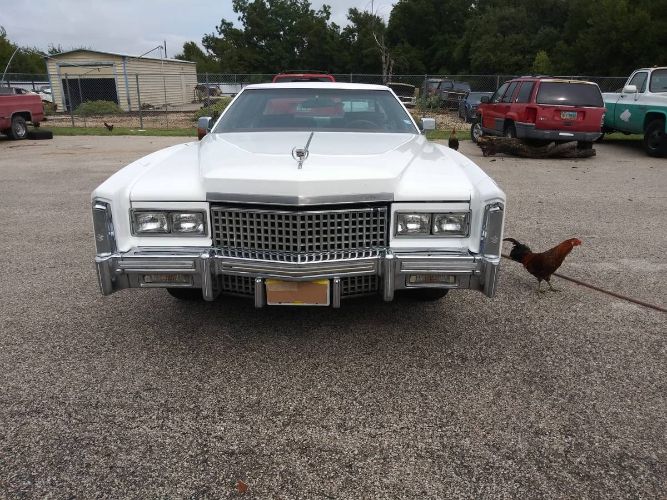 Unknown-Eldorado-1975-White-5
