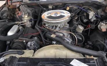 Unknown-Electra-225-1975-Orange-6