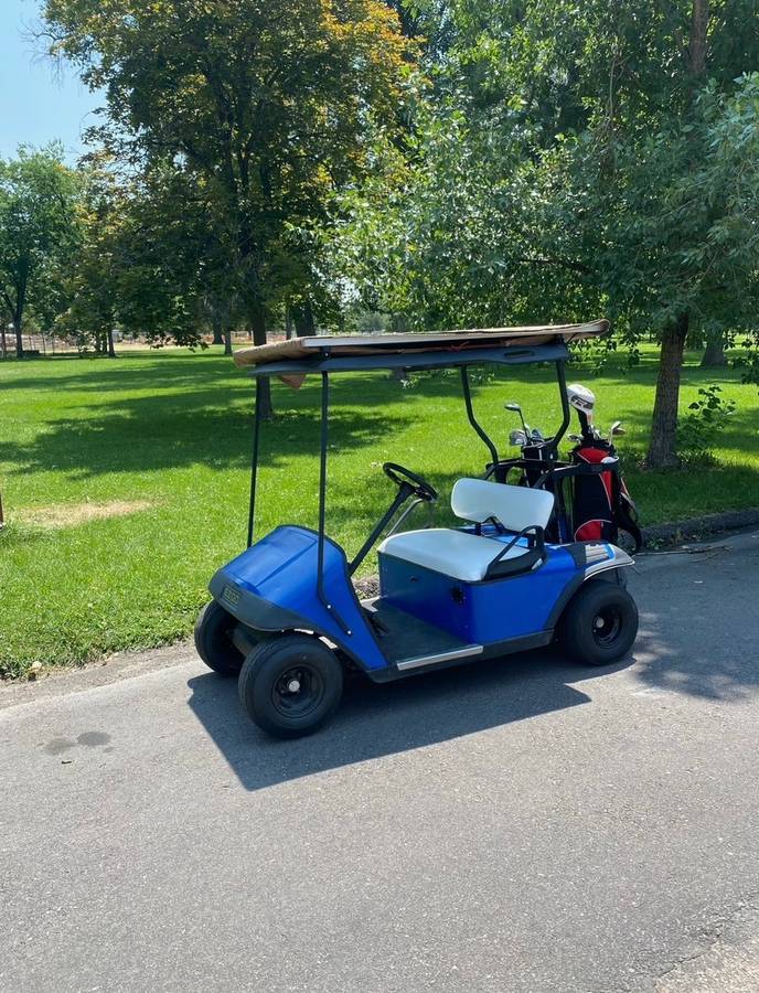 Unknown-Ez-go-electric-1995-blue-2