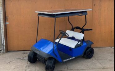 Unknown-Ez-go-electric-1995-blue