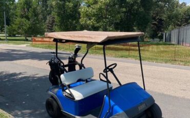 Unknown-Ez-go-electric-1995-blue-4