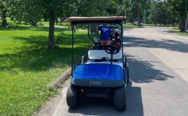 Unknown-Ez-go-electric-1995-blue-6