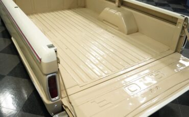 Unknown-F-100-1964-Cream-Tan-12