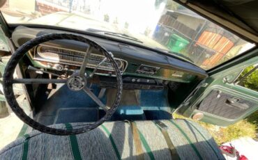 Unknown-F-100-1970-Green-10