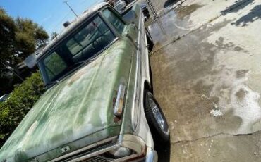 Unknown-F-100-1970-Green-5