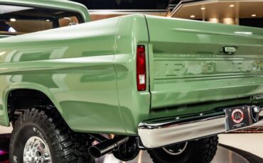 Unknown-F-100-1971-Boxwood-Green-1