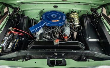 Unknown-F-100-1971-Boxwood-Green-10