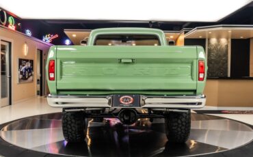 Unknown-F-100-1971-Boxwood-Green-20