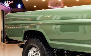 Unknown-F-100-1971-Boxwood-Green-28