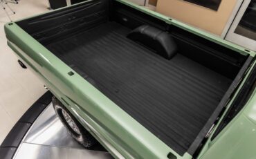 Unknown-F-100-1971-Boxwood-Green-29