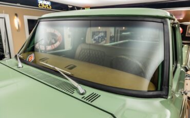 Unknown-F-100-1971-Boxwood-Green-32
