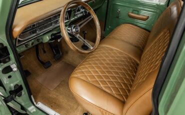 Unknown-F-100-1971-Boxwood-Green-9