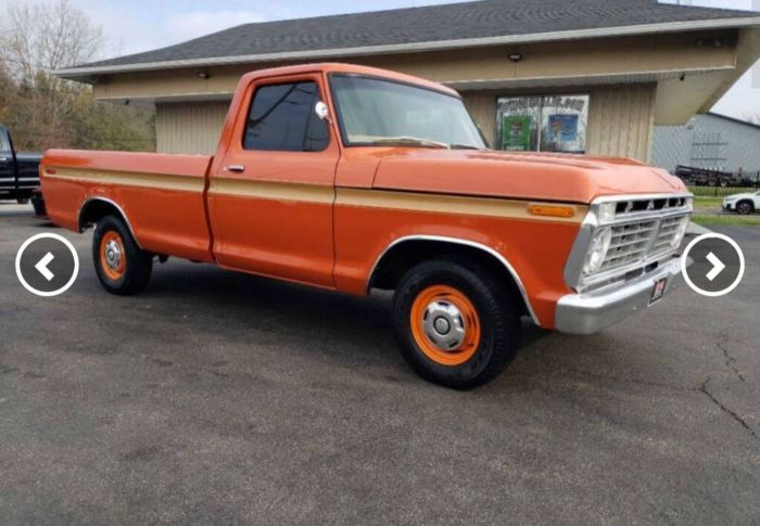 Unknown-F-100-1973-Orange-9