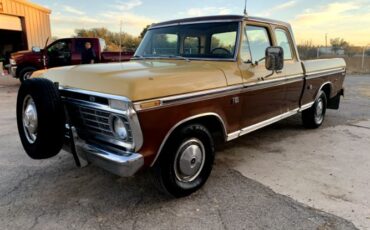 Unknown-F-100-1974-Brown-Brown-1