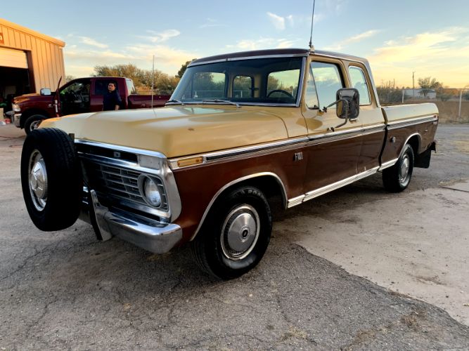 Unknown-F-100-1974-Brown-Brown-1