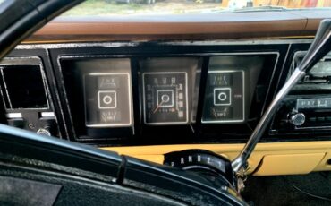 Unknown-F-100-1974-Brown-Brown-10