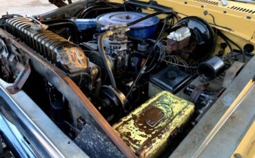Unknown-F-100-1974-Brown-Brown-11