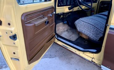 Unknown-F-100-1974-Brown-Brown-17
