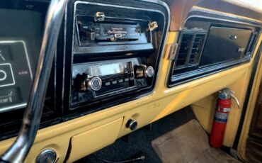Unknown-F-100-1974-Brown-Brown-18