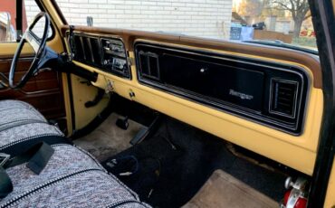 Unknown-F-100-1974-Brown-Brown-19