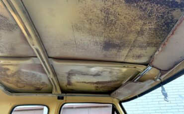 Unknown-F-100-1974-Brown-Brown-24