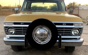Unknown-F-100-1974-Brown-Brown-3